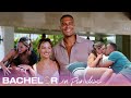 Watch Kat Dale S Full Paradise Love Story Bachelor In Paradise