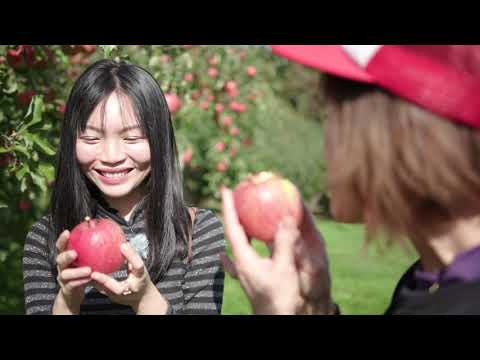 【山形県朝日町】朝日町 秋PR動画　日本語字幕