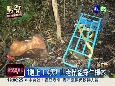 山老鼠撈上億! 咬鈔票炫富PO網