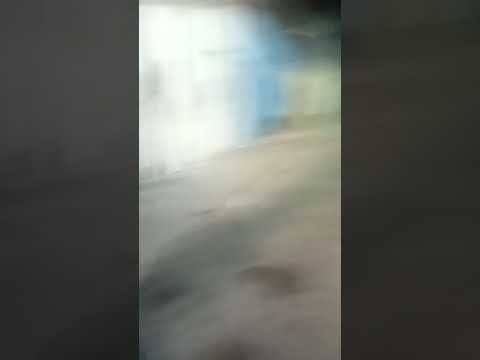 Bdm no correnu ameaça rivais de cabeça klv