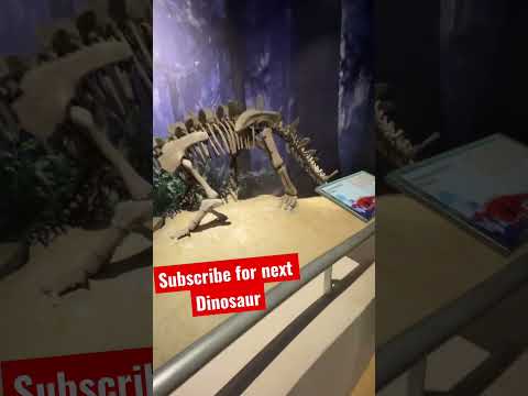 Fóssil de dinossauro Huayangosaurus no Jurassic Research Center, Resort World Genting