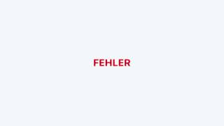 Fehler Music Video