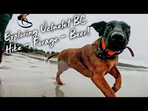 Exploring Ucluelet BC! Hike - Forage - BEER! 