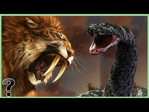 What If A Saber-Toothed Tiger Fought A Titaniboa Snake?