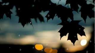 Solución Pantalla Negra Windows 7 Bien explicado!!!