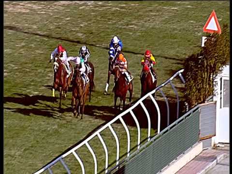 Galoppo 26/01/2019 - 1ª corsa