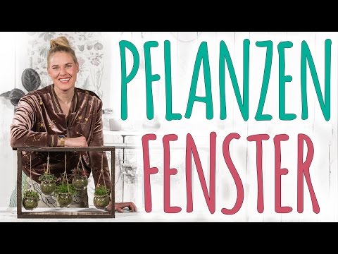 Hängegarten für Minipflanzen - Baue dir aus Altholz eine schöne Deko