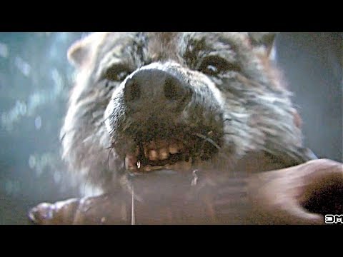 CALL OF DUTY WW2 Walkthrough PART 3 Stronghold Walkthrough 4k Ultra HD 2160p