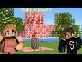 SurshiCraft EP 3 New Fruit Trees Bangla Gameplay Minecraft Bangla RIS Plays