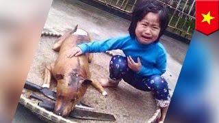 Dziewczynka szuka zaginionego psa - znajduje go ugotowanego na targowisku