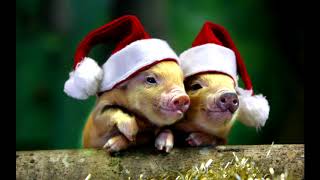 Рождественские песни - Рождественская Музыка - Новогодняя музыка