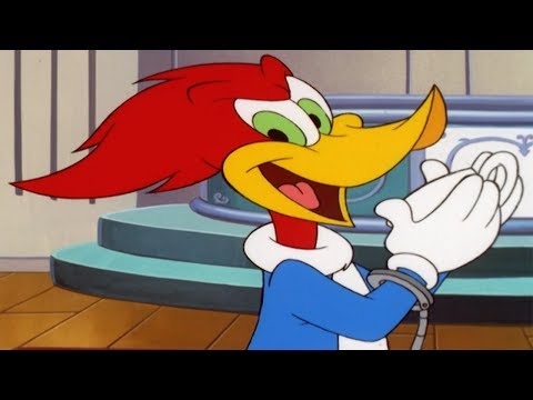 Woody Woodpecker Show | Spy Guy | Full Episode | Videos For Kids