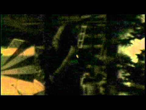 Worm Quartet and Devo Spice Perform at the Ovid Airport - 9-1-12