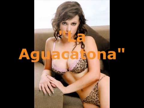 la aguacatona la aguacatona