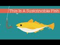 This Is A Sustainable Fish