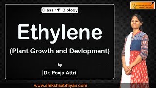 Plant Growth & Development ( Ethylene ) - #CBSE Class 11 Biology