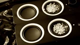 Bad Suns - Matthew James (Uni Project)