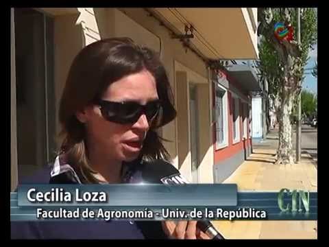 ESCUELA DE AGRONOMíA