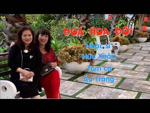 Đóa hoa đôi - Tam Ca Áo Trắng