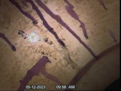 5/12/23  unknown video  1001am