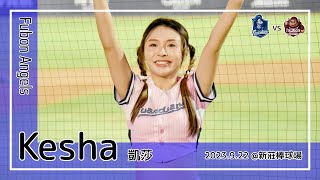 【台湾チア】Kesha 凱莎 / Fubon Angels / 2023.9.22 王正棠,辛元旭,李宗賢 應援曲 [中文歌詞]