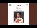 String Quartet No. 14 in E-Flat Major, Op. 9, No. 2, Hob.III:20: III. Adagio - Cantabile