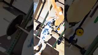 Bouncing boobs hot boobs show hot random insta girl showing big boobs nipple show #youtubeshorts