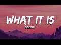 Doechii What It Is Solo Version Lyrics