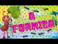 A FORMIGUINHA CORTA A FOLHA E CARREGA