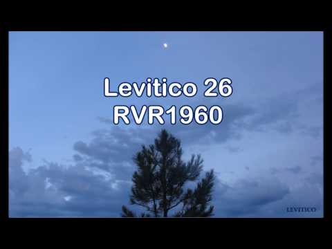 La Biblia en un año/Levítico 26-27 (Audio, Letra) Día 67