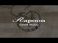 Rapoon – Cidar (Redux) Official Promo 2025
