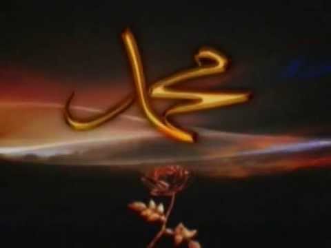 Seyfullah Gül Fexra Kainate