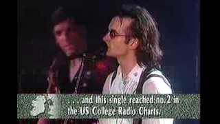 Cactus World News - live