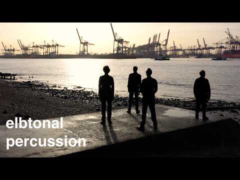 Momentum - 30 Years of Elbtonal Percussion