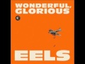 The Eels - Your Mama Warned You 
