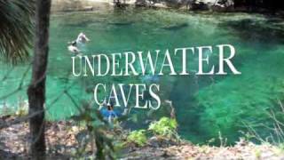 preview picture of video 'Blue Springs State Park, Florida U.S.A.'