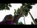 Ark Additions | Brachiosaurus! | An ARK: Survival Evolved mod trailer