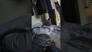 なぜ猫なの？#のすけ #保護猫 #ノルウェージャンフォレスット×ラガマフィン