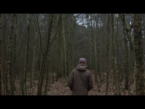 Visionobi - Treeline (feat. Mitekiss) (Visualizer)