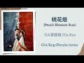 桃花烙 Peach Blossom Scar TIA袁娅维 Tia Ray 桃花映江山 The Princess S Gambit Chi Eng Piny