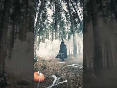 bruxa encontrada na floresta #bruxa #shortvideo
