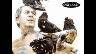 Our Lady Peace-Neon Crossing