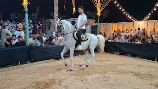 ابراهيم غزال رقص خيل ادب