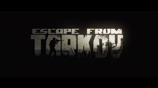【EFT】#2　いくらでもお金が欲しい