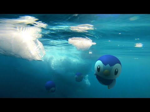 Pokémon GO: Entdecke eine riesige neue Welt