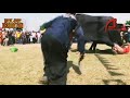 NAPAK JAGAT DERMAYON 2017 NJD