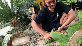 Download lagu Morning activities at home, guys, please stop by, guys. mp3 Download lagu Morning activities at home, guys, please stop by, guys. mp3