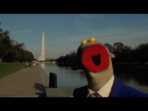 31 minutos - Publicidad «Tiny Desk Concert»