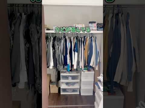 [3 Things to Avoid in Your Closet as a Breeding Ground for Mold 🦠] #LifeHacks #LifeHacks #LifeHac...
