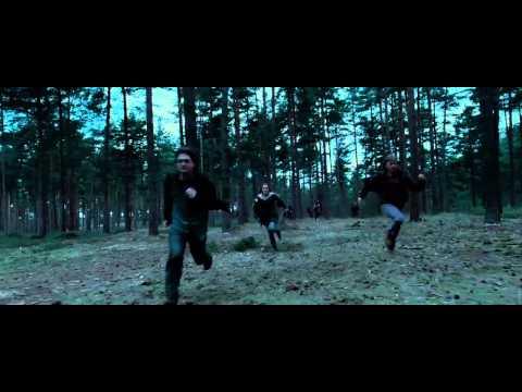 Harry Potter and the Deathly Hallows: Part I (TV Spot 10)